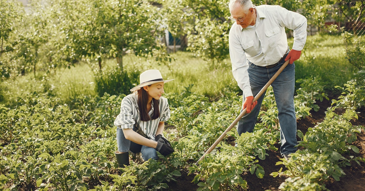 How to Create a Functional Garden at Home